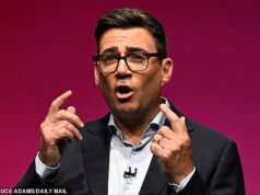 Glenn Owen: Divisão de direita e outros partidos de esquerda em desordem… Por que Burnham não convoca eleições?
