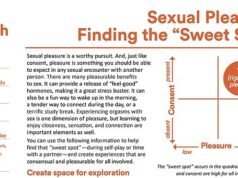 Panfleto de sexo chocante da Universidade Cornell distribuído a estudantes Organização provocativa e BDSM expostos