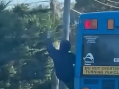 Momento chocante em que um adolescente corajoso arriscou a vida pendurado em um ônibus em movimento em uma das ruas mais movimentadas de Sydney