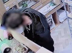 Ladrão momentâneo rouba tartaruga de pet shop e a enfia no bolso do casaco