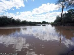 Dezenas de campistas ficam presos enquanto as enchentes atingem as montanhas do Arizona