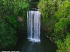 Um turista japonês se afogou no popular ponto turístico australiano Milla Milla Falls