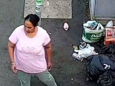 Conselho de Londres envergonha os que descarregam moscas ao postar fotos de lixo após anunciar repressão