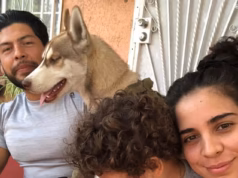 Husky ‘brincalhão’ encontrado pendurado pela coleira perto da casa devastada do proprietário em Los Angeles