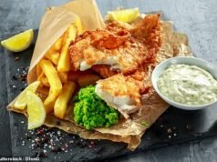 Os 10 finalistas do ‘Oscar das lojas de peixe e batatas fritas’ lutam para ser coroado o melhor chippy da Grã-Bretanha
