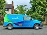 Funcionário municipal condenado a pagar £ 20 mil depois de conseguir um segundo emprego na British Gas enquanto estava em “licença médica” e estrelar seu vídeo promocional