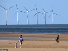 A Grã-Bretanha depende da China para cumprir metas verdes, alerta novo relatório em meio a temores de trabalho forçado e riscos de segurança em painéis solares e turbinas eólicas