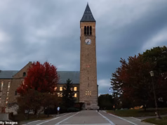 Cornell expulsou apenas dois dos 16 estudantes que os seus próprios investigadores consideraram responsáveis pelo recente assédio sexual, tendo um deles sido convidado a escrever um “artigo de reflexão” como punição.