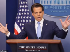 Anthony Scaramucci, contato de 11 dias de Trump, reage ao brutal período de cinco dias de Katie Zacharias: ‘Recordes são feitos para serem quebrados’