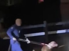Ciclista mortalmente ferido após ser atacado por dois cães no parque de Brisbane – enquanto os moradores locais alertam para manter as crianças afastadas
