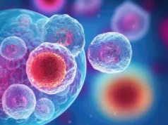 Cientistas descobrem como “células zumbis” nocivas ficam escondidas do sistema imunológico