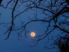 O céu noturno de outubro está cheio de feitos e presentes cósmicos