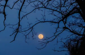 O céu noturno de outubro está cheio de feitos e presentes cósmicos