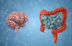 Suas bactérias intestinais podem revelar quão rápido seu cérebro está envelhecendo