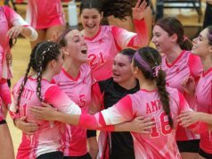FOTOS DE VOLEIBOL MENINAS: Amity lidera a Sacred Heart Academy em 5 sets
