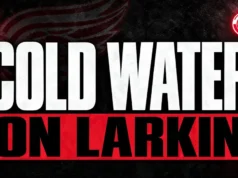 A linha do tempo de Berkov joga água fria no comércio de Dylan Larkin