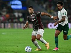 Vitória do Palmeiras e avanço do Flu às semifinais da Libertadores 🎥