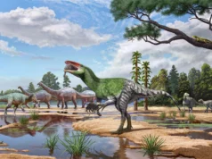 Um fóssil esquecido revela um dinossauro temível com garras gigantes