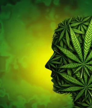 marijuana-health-risks-cannabis-mental-function.webp