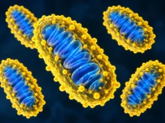 Os cientistas acabaram de dar à potência de nossas células uma atualização de alta tecnologia