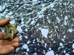 Arqueólogos finalmente resolveram um mistério de 100 anos na Flórida