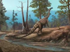 Descoberta de dinossauro de 210 milhões de anos revela um mundo perdido na África