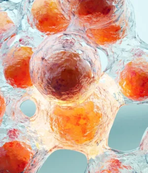 weight-loss-burning-fat-cells-adipose-tissue.webp