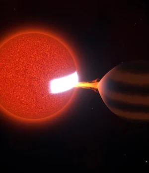 ztf-j0440-2325-brown-dwarf-white-dwarf.webp